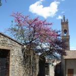 Toscana 2008 - Montalcino